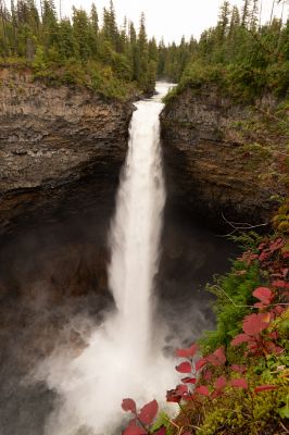 _DSC5513
