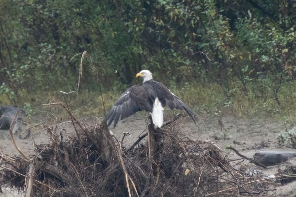 _DSC5564-Bearbeitet

