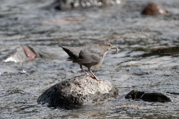 _DSC5718-Bearbeitet-Bearbeitet
