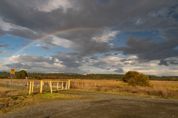 _DSC6414
