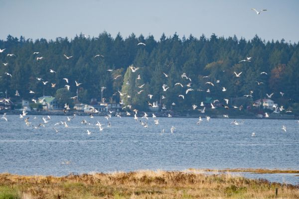 _DSC6448
