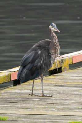 _DSC6623
