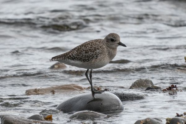 _DSC7103
