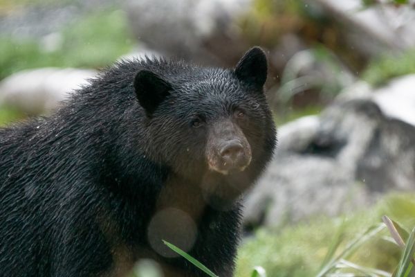 _DSC7209-Bearbeitet
