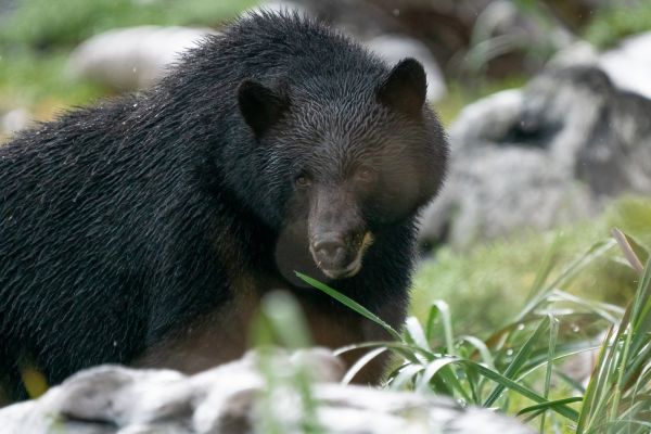_DSC7212-Bearbeitet
