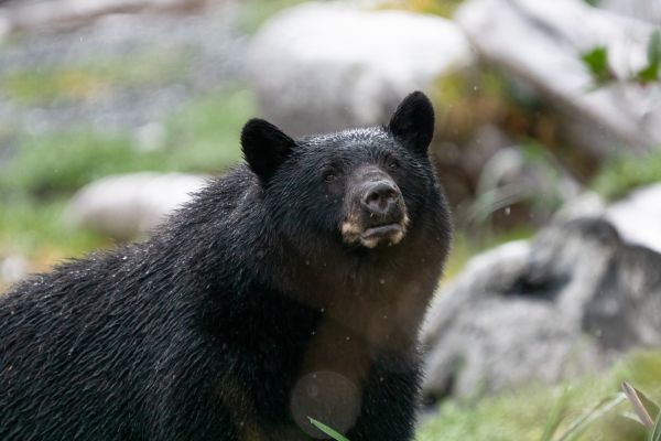 _DSC7218-Bearbeitet
