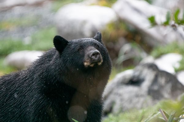 _DSC7220-Bearbeitet
