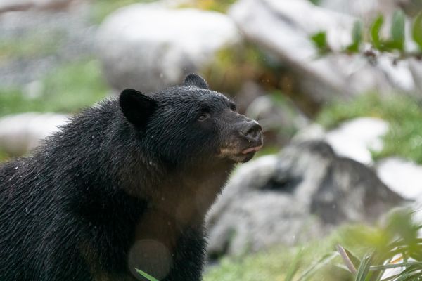 _DSC7224-Bearbeitet
