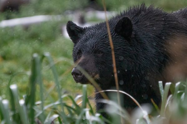 _DSC7249-Bearbeitet

