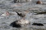 _DSC5718-Bearbeitet-Bearbeitet