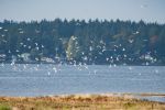 _DSC6448