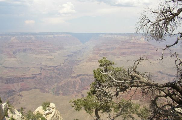 Grand  Canyon
