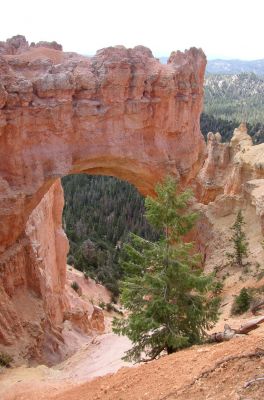 Bryce Canyon
ein von der Natur geschaffenes Tor
