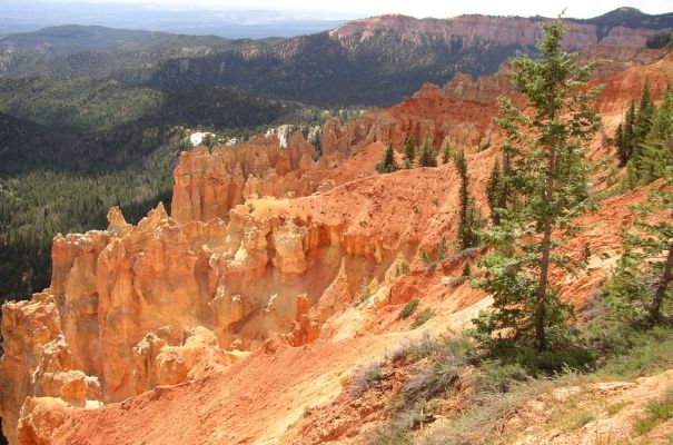 Bryce Canyon
Der schönste aller Canyon's
