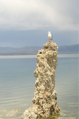 Mono Lake 
Mono Lake
