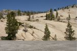 Yosemite NP