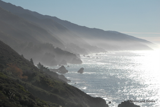HWY1
