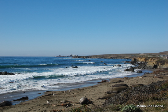 San Simeon
