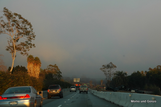 Santa Barbara im Nebel
