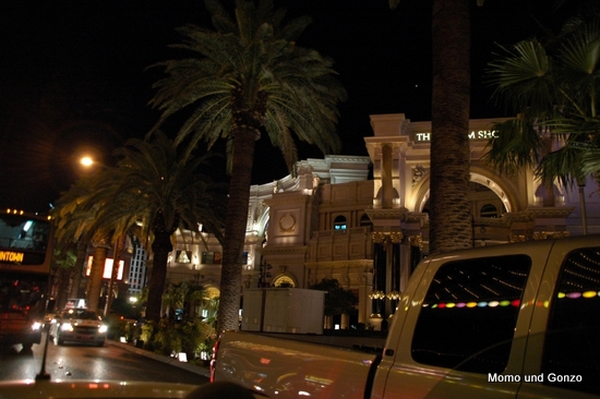 Vegas Baby
