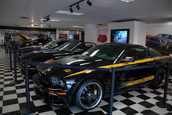 Shelby Museum
