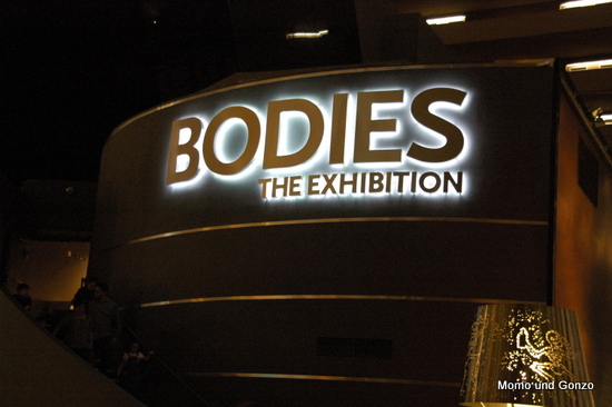 Bodies
