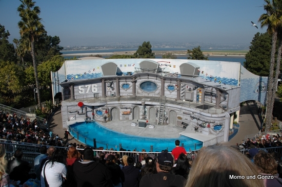 SeeLöwen Show - Sea World
