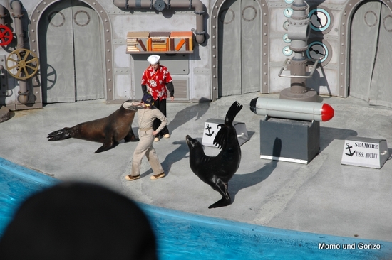 SeeLöwen Show - Sea World
