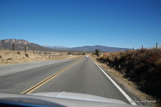 SDPS120109_24.jpg