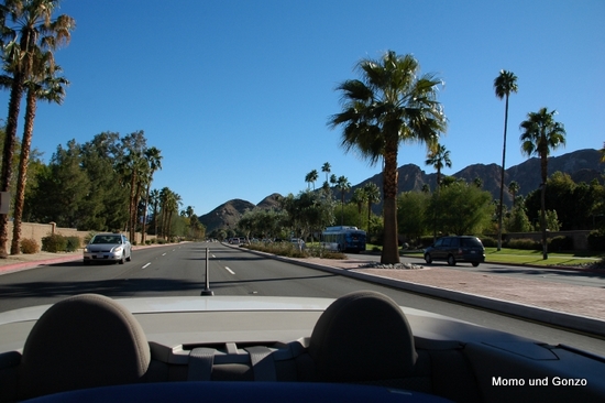 Palm Springs
