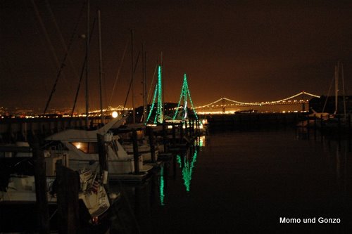 XMas Lights
