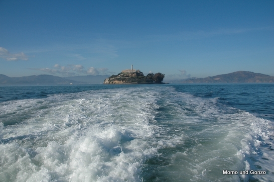 Alcatraz Boat Tour
