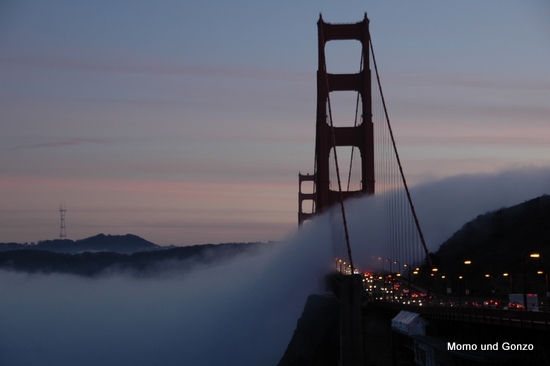 Golden Gate im Nebel
