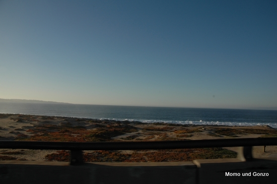 HWY1

