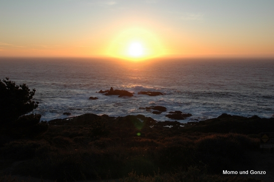 HWY1
