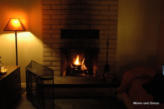 Big Sur Lodge
