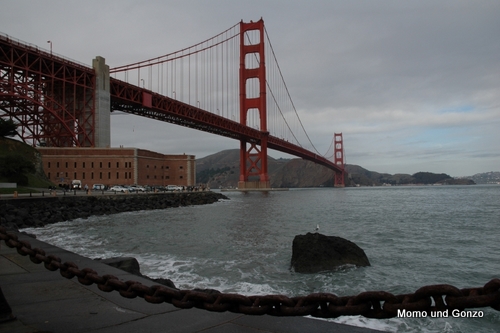 GGBridge
