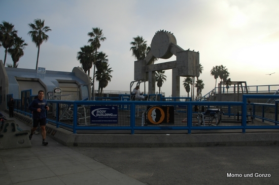 Muscle Beach
