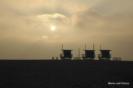 Venice Beach
