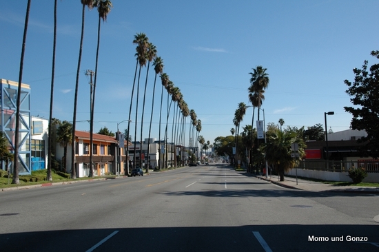 Sunset Strip
