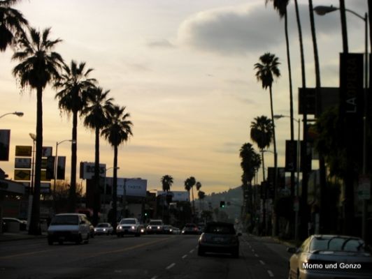 Sunset Blvd
