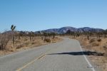 Joshua Tree NP