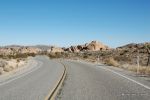Joshua Tree NP