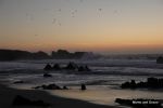The Beach