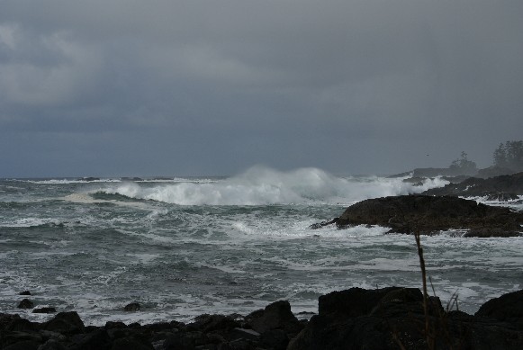 Wild Pacific Trail
