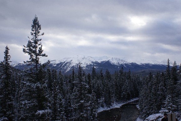 Jasper
