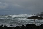 Wild Pacific Trail