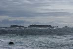 Wild Pacific Trail