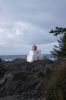 Wild Pacific Trail