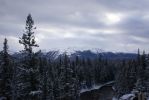 Jasper